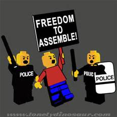 freedom to assemble(1)