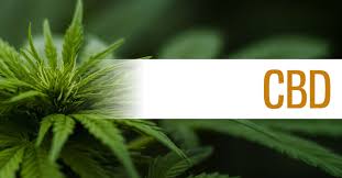Image result for Cannabidiol (or CBD